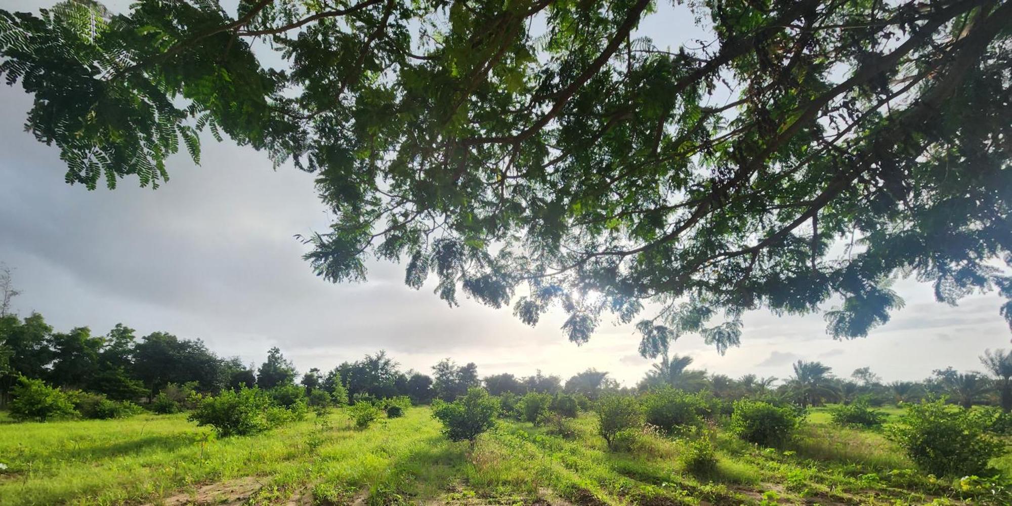 Amrutiya Farmview Suit Vila Bhuj Exterior foto